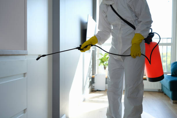 Best Mold Remediation for Specific Building Types in Canton, TX