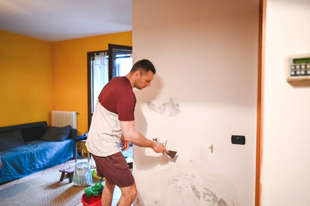 Best Black Mold Remediation in Canton, TX